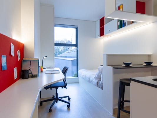Silver Studio room type
